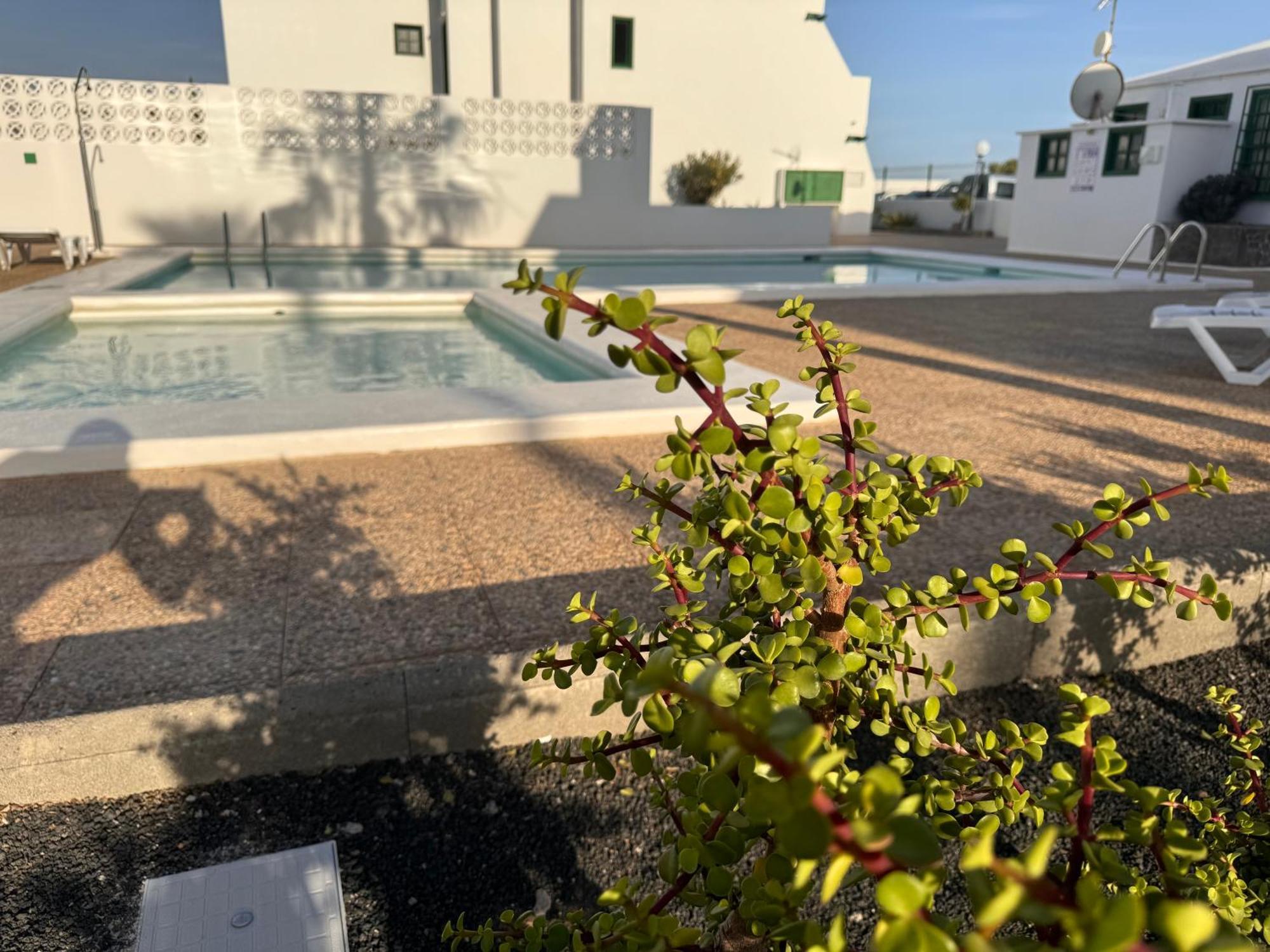 Las Mimosas Puerto del Carmen  Eksteriør bilde
